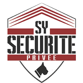 sysecurite.jpeg